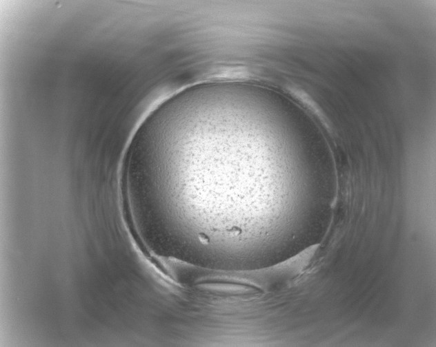 X0000066001475200603101518