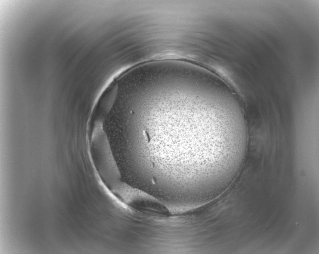 X0000066001476200603101518