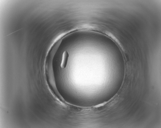 X0000066001477200603101518