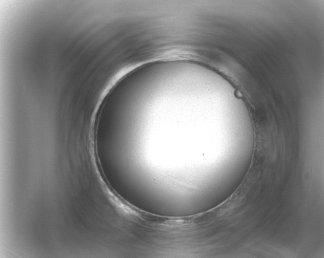 X0000066001478200603101518