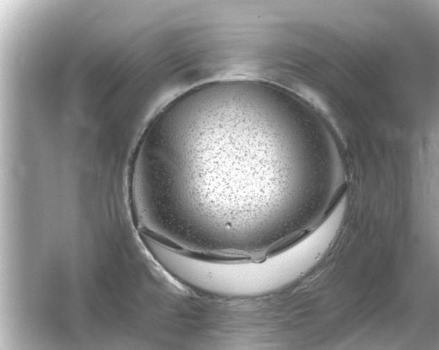 X0000066001480200603101518