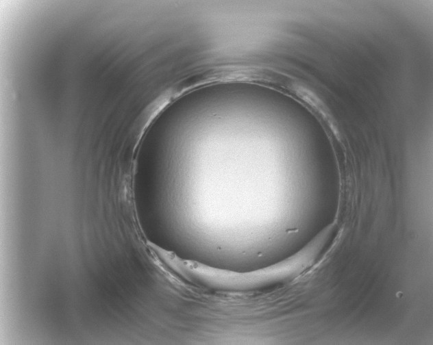 X0000066001481200603101518