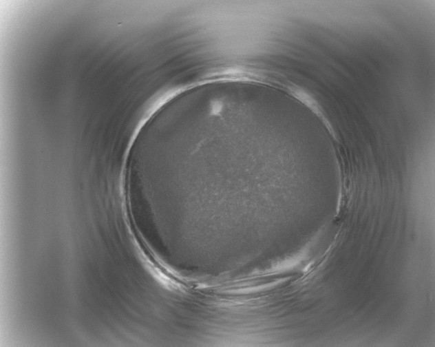 X0000066001482200603101518