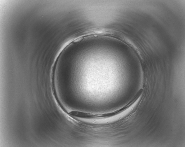 X0000066001483200603101518