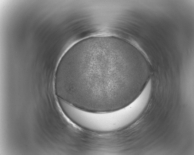 X0000066001484200603101517