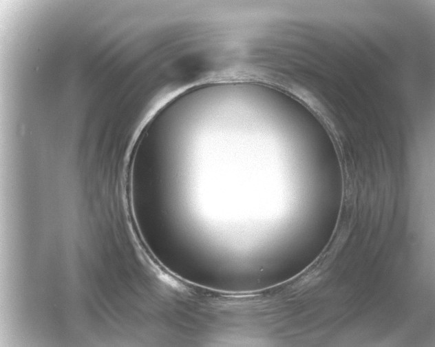 X0000066001486200603101517