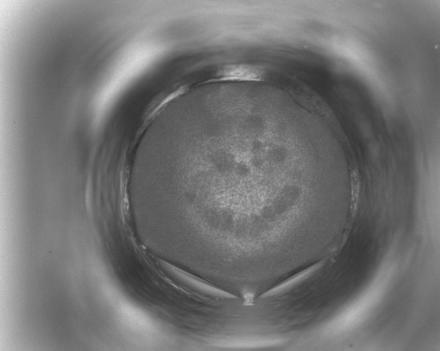 X0000066001487200603101517