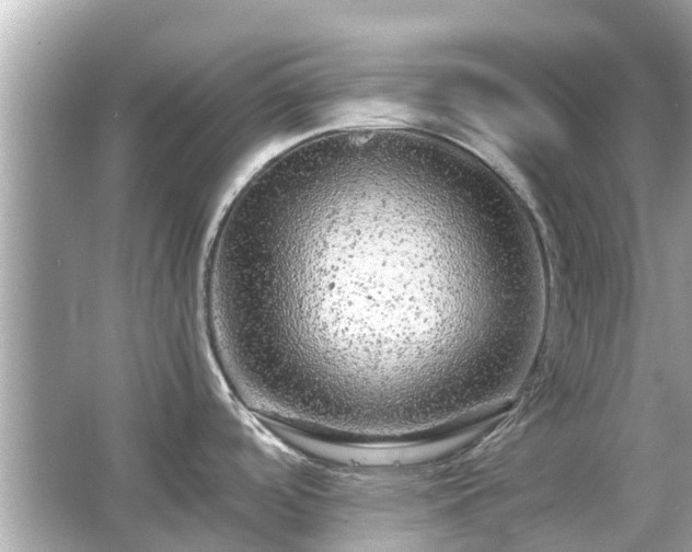 X0000066001488200603101517