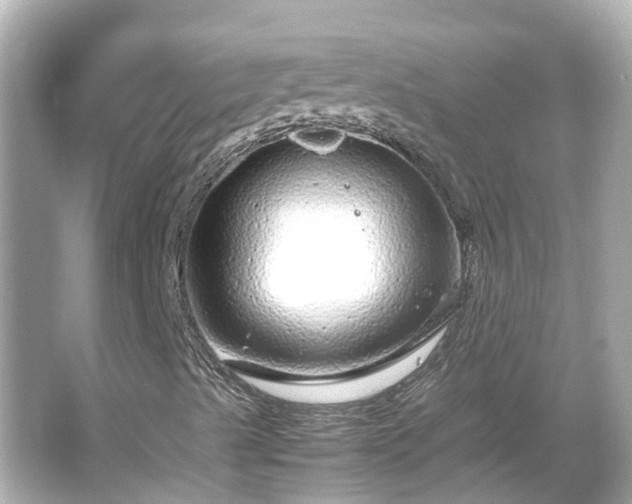 X0000066001489200603101517