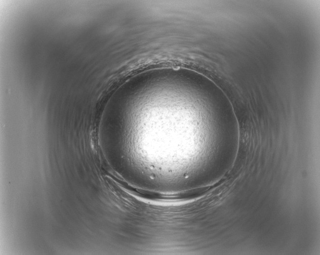 X0000066001490200603101517