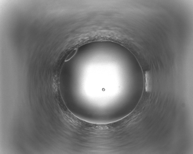 X0000066001491200603101517