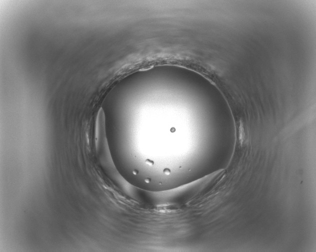 X0000066001492200603101517