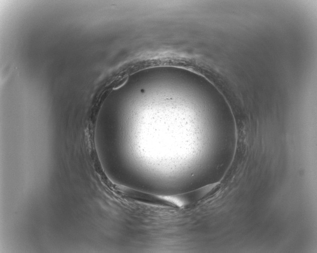 X0000066001493200603101517