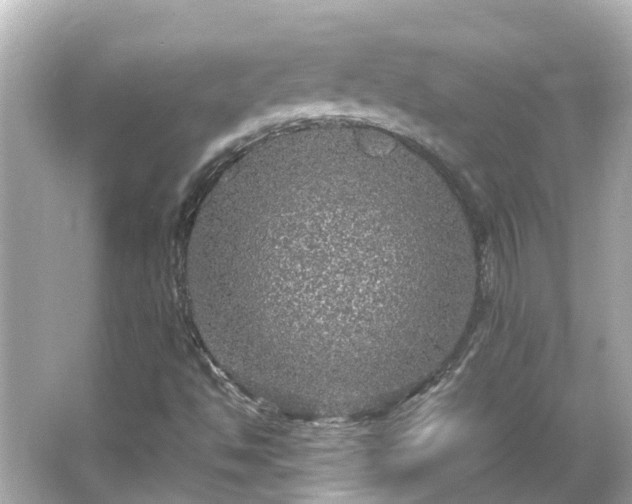 X0000066001494200603101517