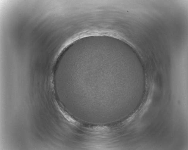 X0000066001498200603101517