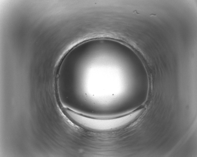 X0000066001500200603101517