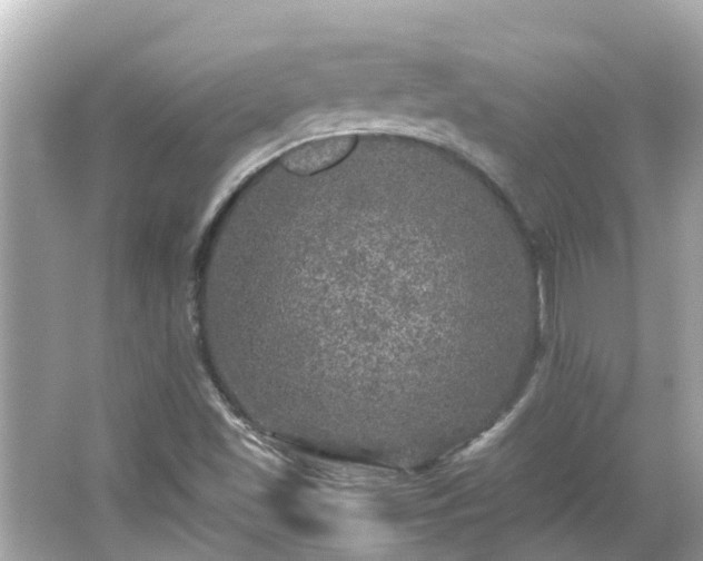 X0000066001501200603101517