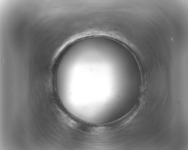 X0000066001502200603101517