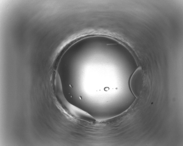 X0000066001503200603101517