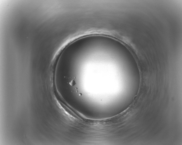 X0000066001504200603101517