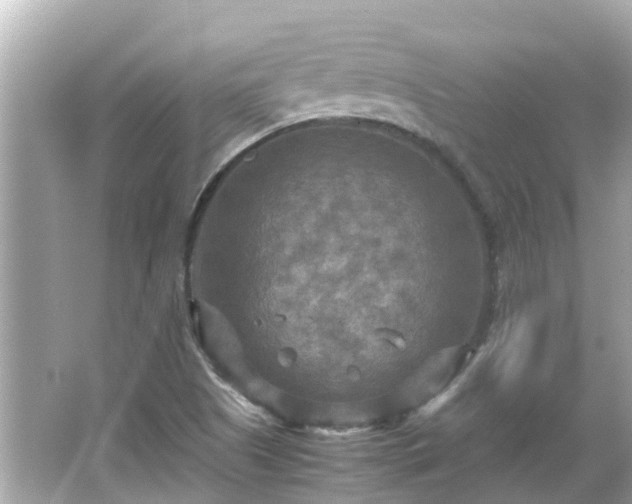 X0000066001505200603101517