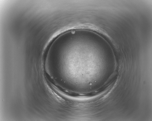 X0000066001506200603101517