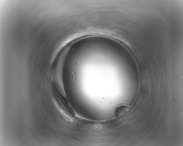 X0000066001507200603101517