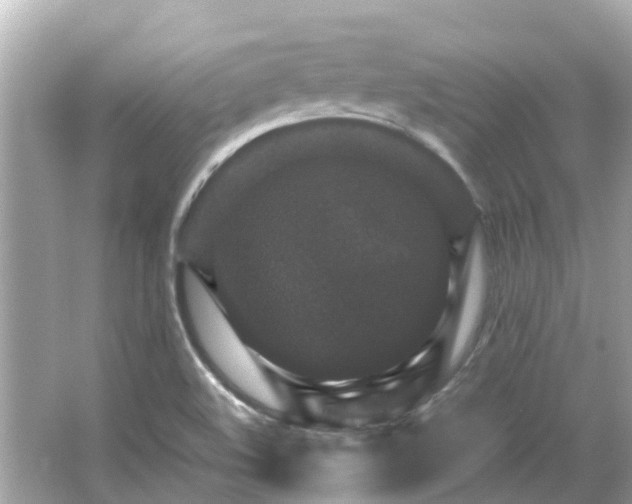 X0000066001508200603101517