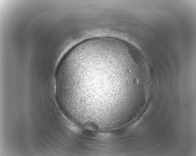 X0000066001509200603101517