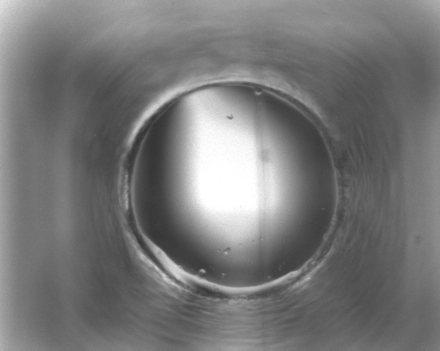 X0000066001510200603101517