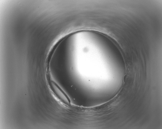 X0000066001511200603101517