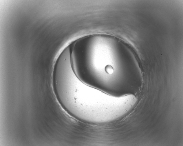 X0000066001512200603101517