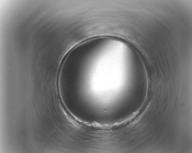 X0000066001513200603101517