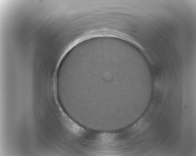 X0000066001514200603101517