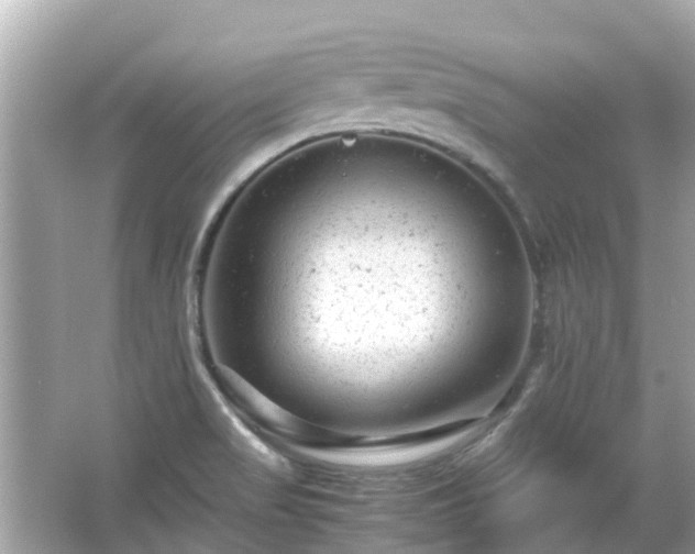 X0000066001517200603101517