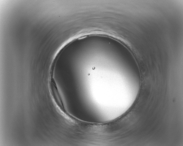 X0000066001518200603101517