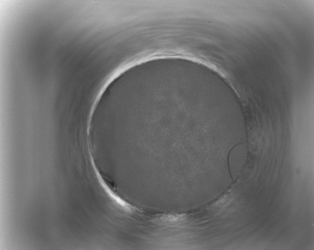 X0000066001519200603101517