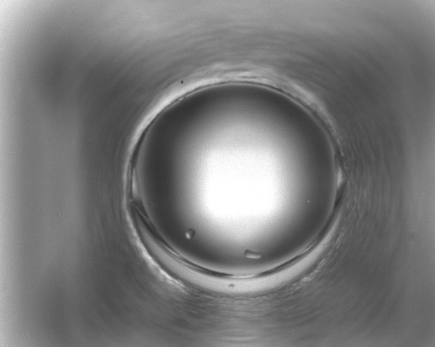 X0000066001520200603101517