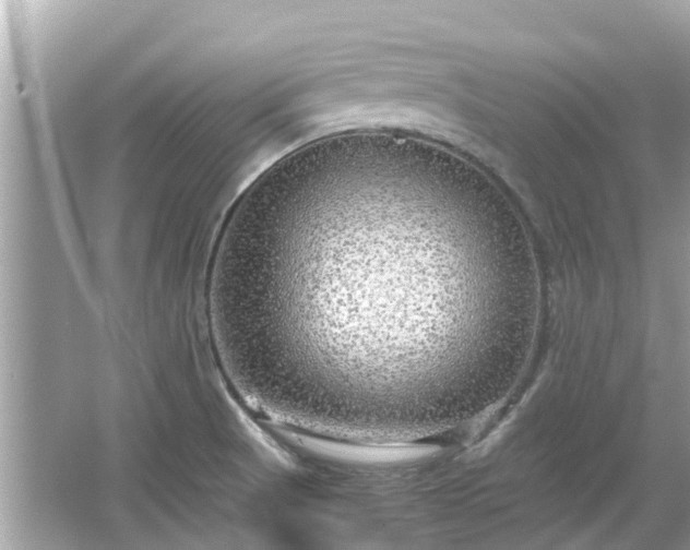 X0000066001521200603101517