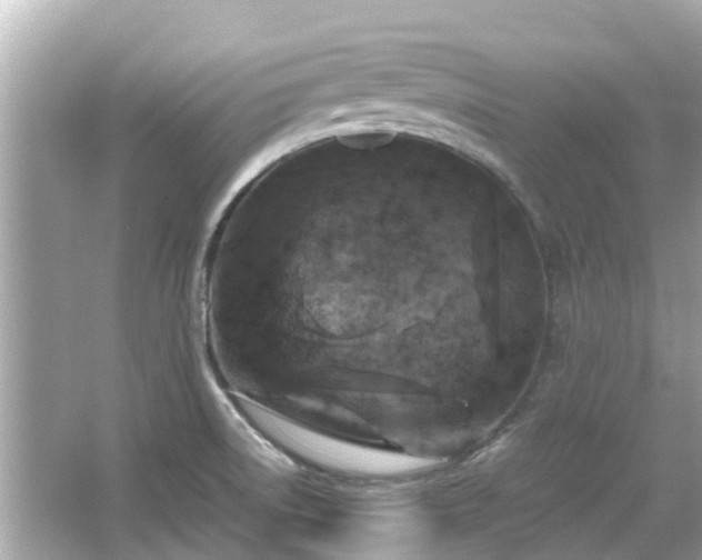 X0000066001522200603101517