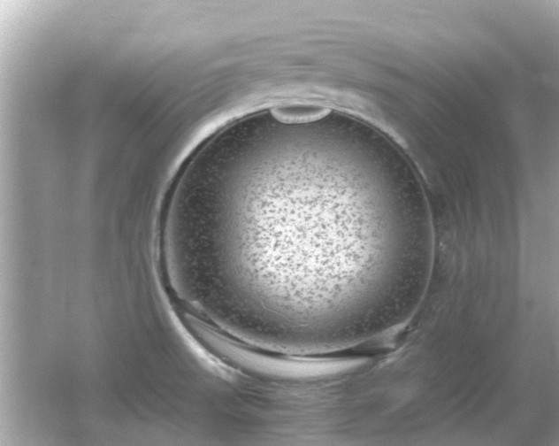 X0000066001523200603101517