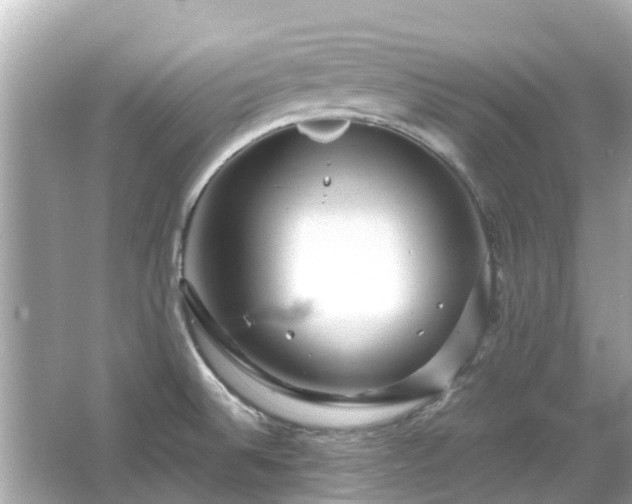 X0000066001524200603101517