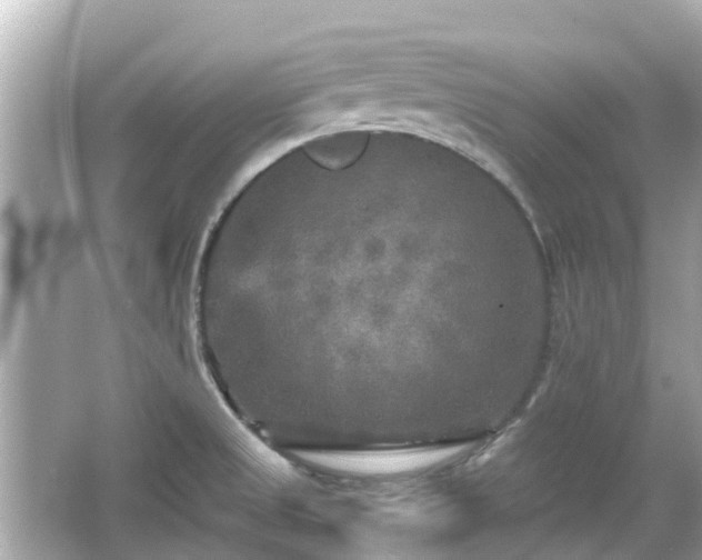 X0000066001525200603101517