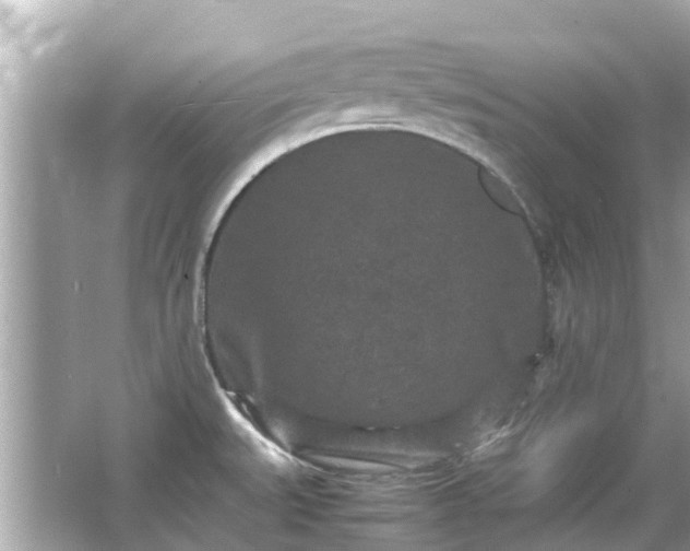 X0000066001527200603101517