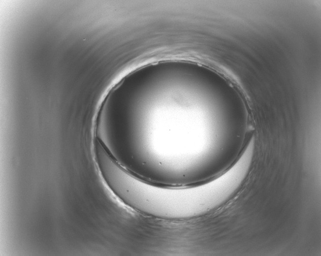 X0000066001528200603101517