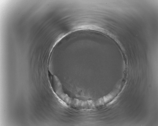 X0000066001529200603101517