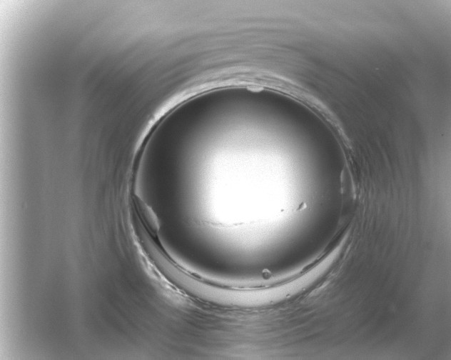 X0000066001530200603101517