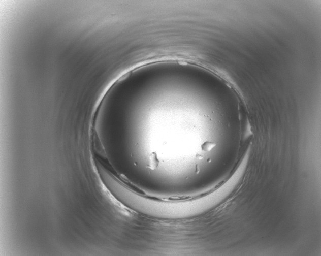 X0000066001532200603101517