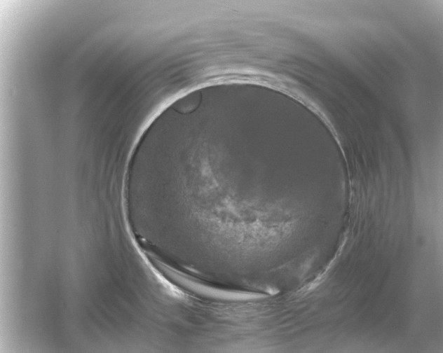 X0000066001533200603101517