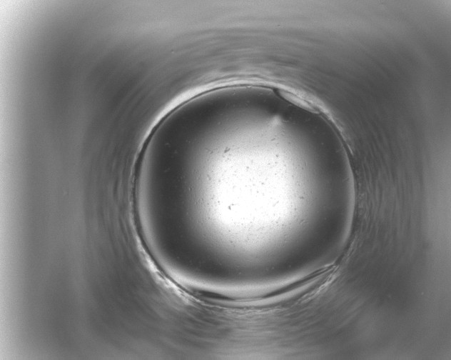 X0000066001534200603101517